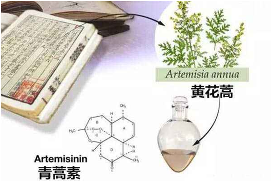 万象城平台,万象城（中国）：向中医药看齐，与世界共享中医药文化(图1)